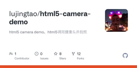 html5 webcam|basic html5 web cam example GitHub